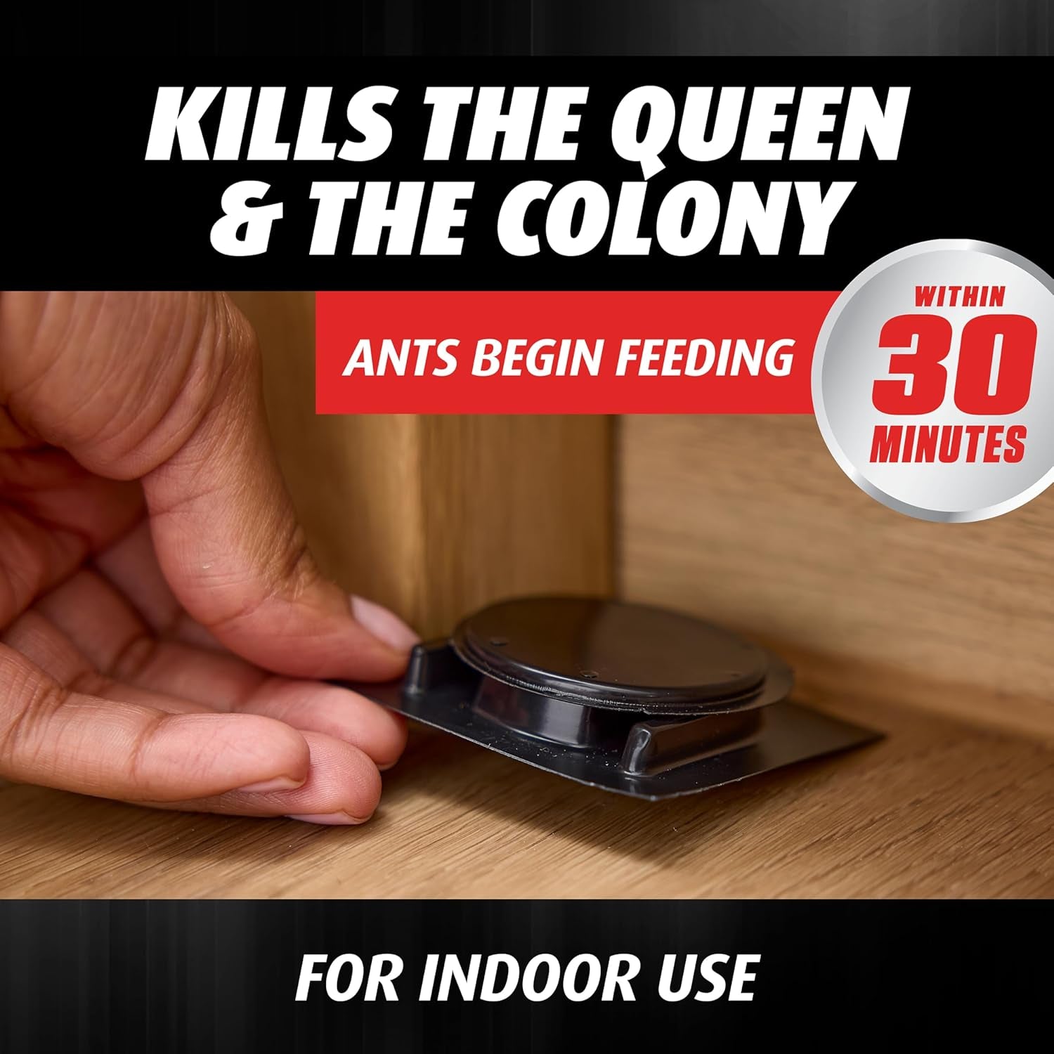 Orthene Ant Killer Ant Bait, Indoor Ant Killer, Kills the Queen and the Colony, 12 Stations