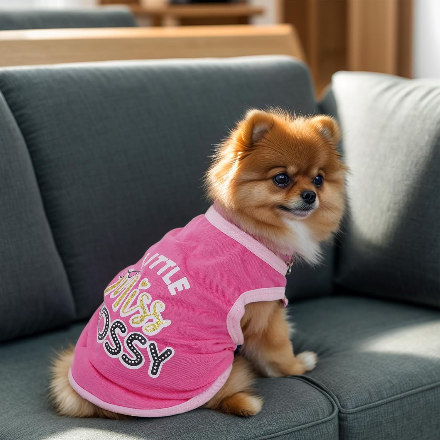 4 Pack Dog Shirts Summer Printed Puppy Clothes Cute Sleeveless Pet T Shirts Dog Clothes for Small Medium Dogs Cats Girl(S)