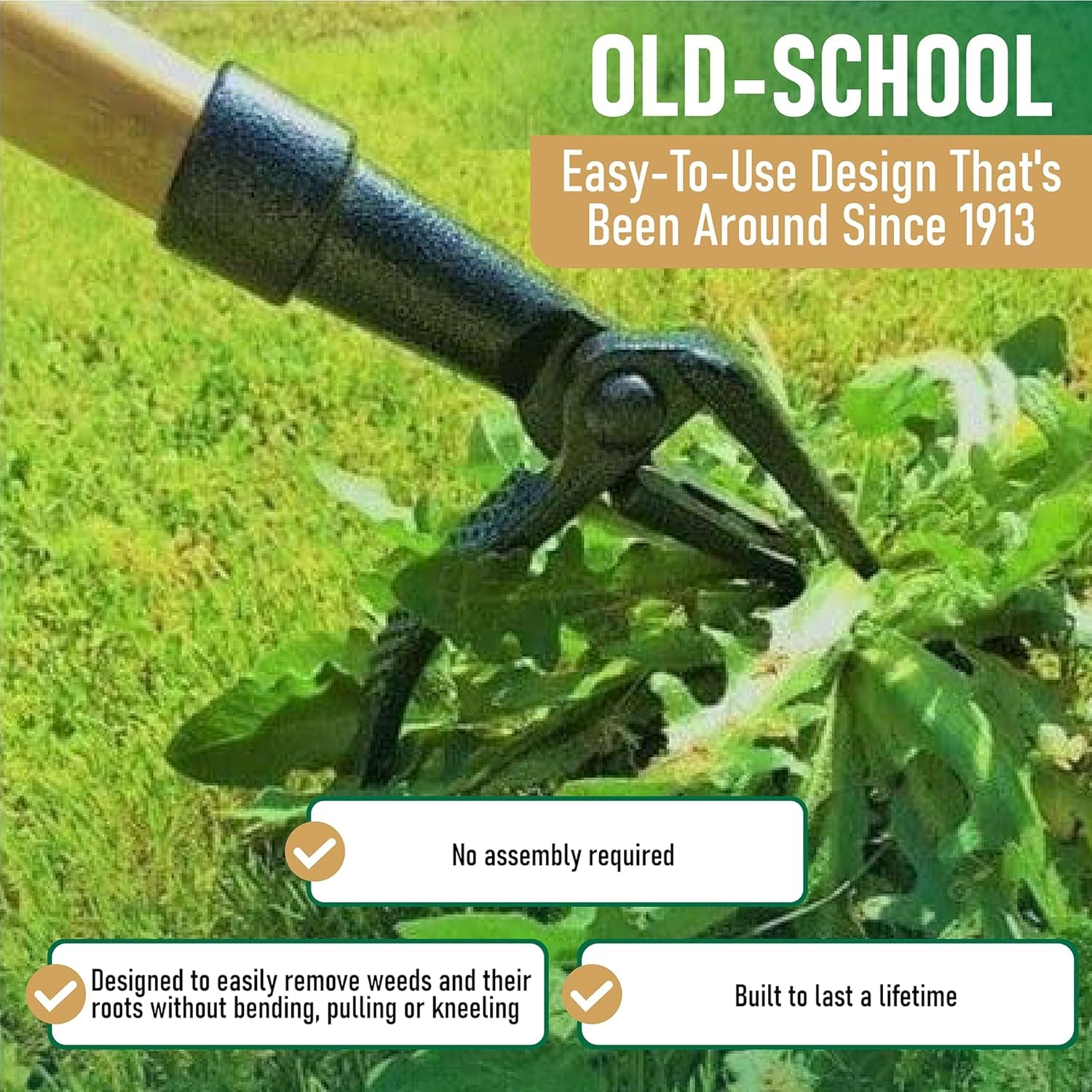 - the Original Stand up Weed Puller Tool with Long Handle - Made with Real Bamboo & 4-Claw Steel Head Design - Easily Remove Weeds without Bending, Pulling, or Kneeling.