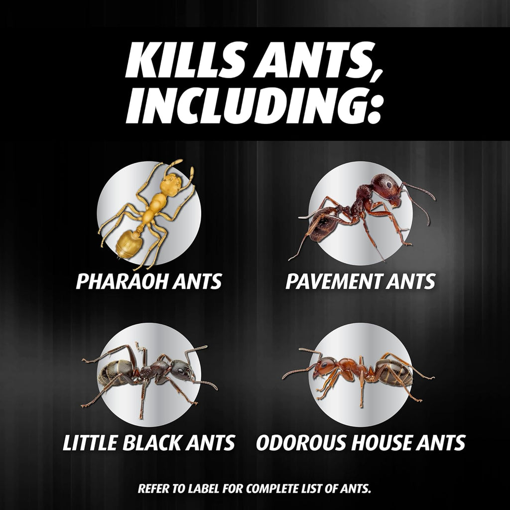 Orthene Ant Killer Ant Bait, Indoor Ant Killer, Kills the Queen and the Colony, 12 Stations